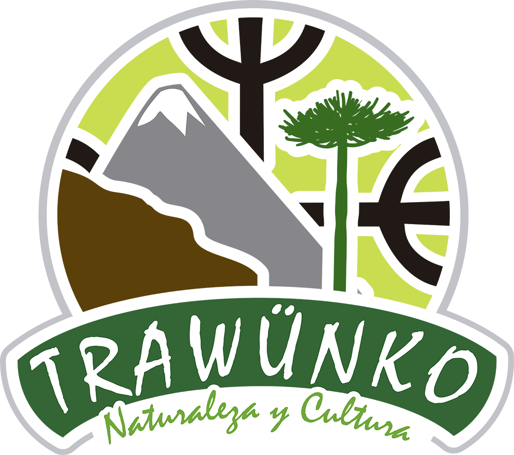 logo3